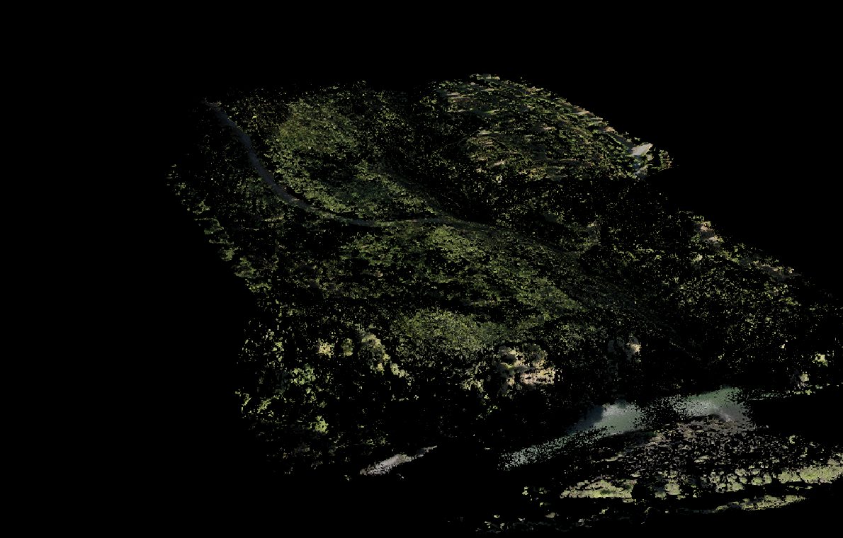 Nube de puntos LiDAR de un rodal forestal levantado con dron