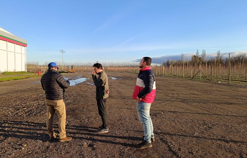 Equipo de Zappettini Ingenieros Consultores evaluando el terreno de un proyecto en faena